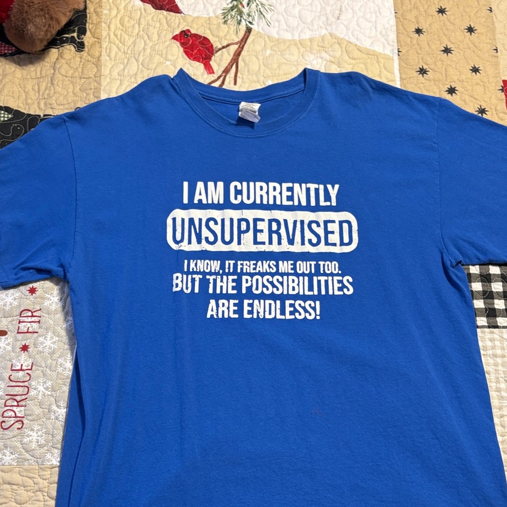 Gildan Blue Unsupervised Graphic Tee